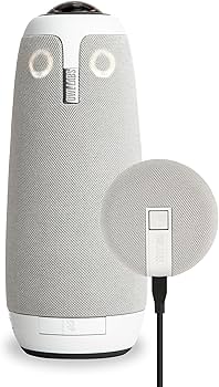 Amazon.com : Owl Labs Meeting Owl 3 and Expansion Mic for Meeting